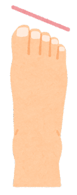 エジプト型の足の形